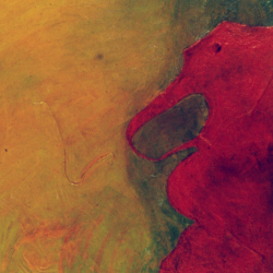 La Fantasia - 68x50
