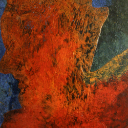 Amazzone - 68x50